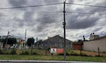 Imagem 2: CANOAS - Terreno Padrão - Pitangueiras