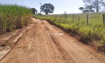 Imagem: SITIO COM 14 ALQUEIRES PAULISTA - Zona Rural