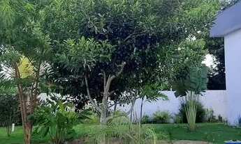 Imagem 4: PORTO SEGURO - Apartamento Padrão - Outeiro da Glória