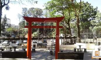 Imagem 10: Apartamento (tipo - padrao) 3 dormitórios, cozinha planejada, portaria 24 horas, elevador