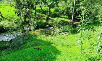 Imagem 4: Fazenda à venda, 2000000 m² por R$ 8.600.000,00 - Figueira Oca - Paulo Lopes/SC