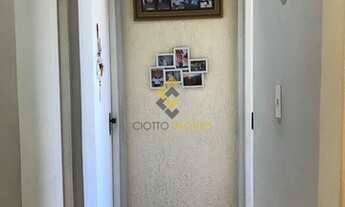 Imagem 6: CONTAGEM - Padrão - Arvoredo