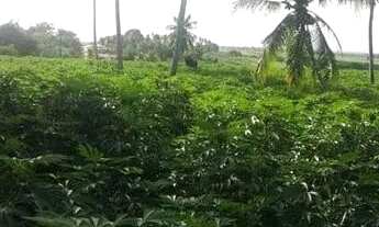 Imagem: Sitio a Venda