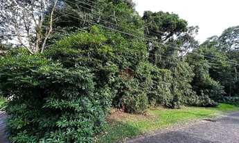 Imagem 4: Terreno no Condomínio Quinta da Serra em Canela!