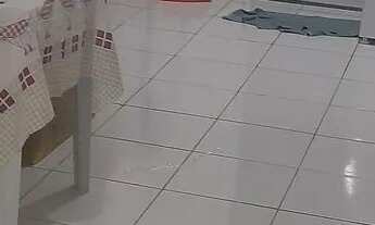 Imagem 3: Apartamento Apartamento com 2 dormitórios