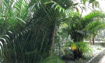 Imagem 7: Apartamento com 2 dormitórios à venda, 48 m² por R$ 350.000,00 - Vila Carrão - São Paulo/S