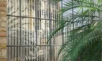 Imagem 3: Sobrado residencial à venda, Bairro Jardim, Santo André - SO0201