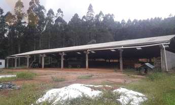 Imagem 5: Chácara com 2 dormitórios à venda, 563500 m² por R$ 2.800.000,00 - Área Rural de Campo Lar