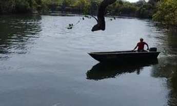 Imagem 5: Sítio a venda Chácara com venda por R$1.800.000