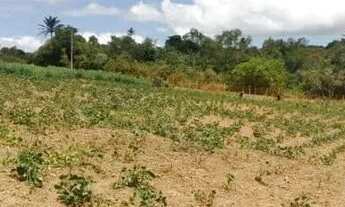 Imagem 7: Sitio a Venda Chácara com venda por R$475.000