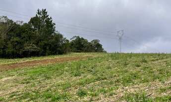 Imagem 8: Terreno para agricultura com 60.500m² ou 2,5 alqueires