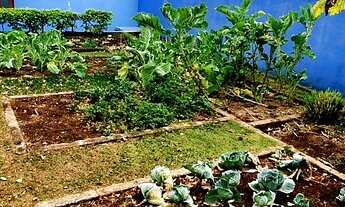 Imagem 7: Residência Cond. Fechado