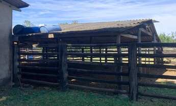 Imagem 4: FAZENDA À VENDA EM ROCHEDO - MS - 250 HECTARES (PECUÁRIA