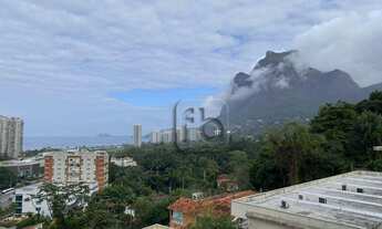 Imagem 3: Belíssima Casa São Conrado 300 m2 4 quartos