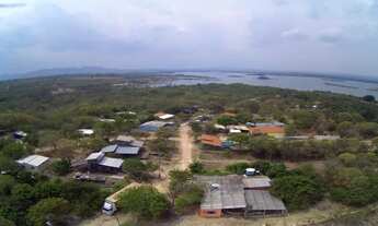 Imagem: Canto dos pássaros