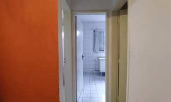 Imagem 5: São Paulo - Apartamento Padrão - Vila Amália (Zona Norte