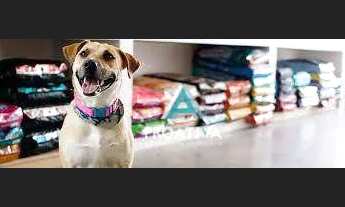 Imagem 6: Ponto à venda, 190 m² - Assunção- São Bernardo do Campo/SP