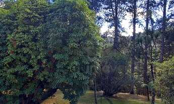 Imagem 7: Casa com 3 dormitórios à venda, 490 m² por R$ 4.200.000,00 - Rancho Alegre - Campos do Jor