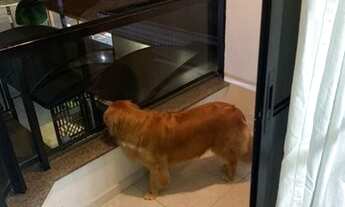 Imagem 4: Apartamento de 2 dormitórios e 1 vaga, 72 m² - Vila Formosa (Zona Leste) - São Paulo/SP