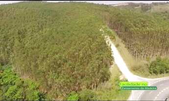 Imagem 4: Fazenda à venda, 2250600 m² por R$ 8.250.000,01 - Bairro do Alegre - Guapiara/SP