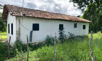 Imagem 5: ALUGA-SE HARAS EM CHA GRANDE PERTO DO HOTEL HILANDHER