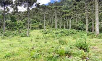 Imagem 4: Área Rural 10 hectares/ Imóvel Rural