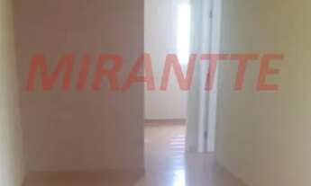 Imagem 6: Venda Apartamento com 2 dormitórios