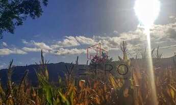 Imagem 4: Sítio na Linha Araripe em Gramado!