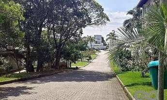 Imagem 7: Terreno à venda, 689 m² por R$ 1.400.000,00 - Córrego Grande - Florianópolis/SC