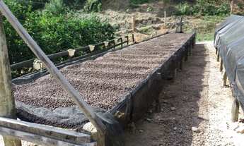 Imagem 6: LINDO SÍTIO Fazenda / sítio com venda por R$800.000