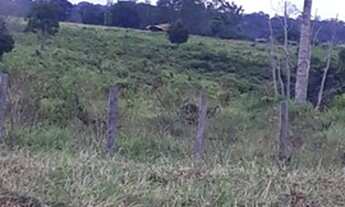 Imagem 6: FAZENDA À VENDA EM TUCURUÍ - PA - 610 HECTARES (DUPLA APTIDÃO