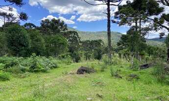 Imagem 2: Área Rural 10 hectares/ Imóvel Rural