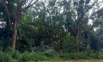 Imagem 3: Área Rural para Venda em Palmas, Taquarussu