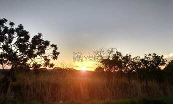 Imagem: Sítio com 4 dormitórios à venda, 23000