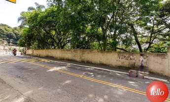 Imagem 2: São Paulo - Casa Comercial - Tremembé