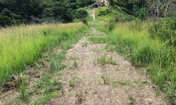 Imagem 5: Oferta 4 hectares R$ 60.000 ou 8 hectares por 120.000