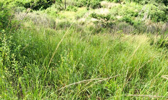 Imagem 6: Oferta 4 hectares R$ 60.000 ou 8 hectares por 120.000