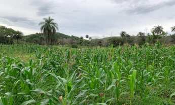 Imagem 4: Lindo baixadão de 20 mil metros (Temos varias opções)