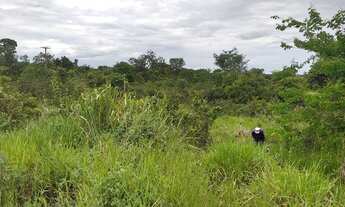 Imagem 4: Área de frente para Br-153