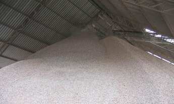 Imagem 6: Fazenda - Cocalinho (MT