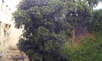 Imagem 3: Conjugado em Ipanema Posto 8