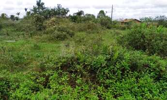 Imagem 2: Terreno para Venda em Porto Grande Araquari-SC - 745