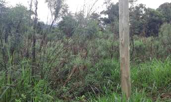 Imagem 2: Sítio em Santo Amaro 4 hectares Próximo ao Centro Com Pastagens Rio e Cachoeira