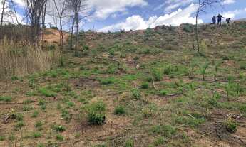 Imagem 4: Chácara em taquaraçu de minas, 5000m ótima localidade