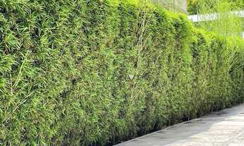 Imagem 4: Casa à venda, 189 m² por R$ 1.200.000,00 - Vila Olímpia - São Paulo/SP