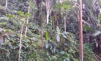 Imagem 4: Terreno à venda, 3880 m² por R$ 250.000,00 - Fazenda Boa Fé - Teresópolis/RJ