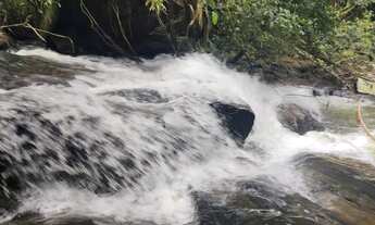 Imagem 6: Térrea para aluguel possui 250 metros quadrados com 3 quartos em Alto Bau - Ilhota - SC