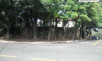 Imagem 4: Casa comercial para locação, Jardim das Paineiras, Campinas