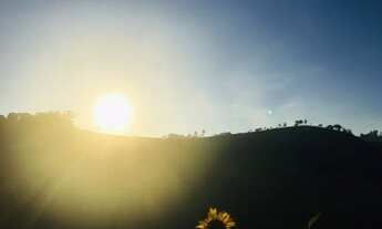 Imagem 4: Propriedade Rural - Terreno de 1 Alqueire - 20 Mil M2 com casa - Documentado