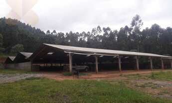 Imagem 7: Chácara com 2 dormitórios à venda, 563500 m² por R$ 2.800.000,00 - Área Rural de Campo Lar